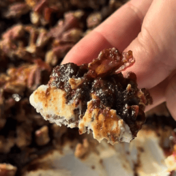 Apple Pecan Boursin Dip