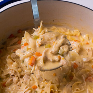 Creamy chicken noodle stew with egg noodles, shredded chicken, carrots, sazon and a rich creamy broth