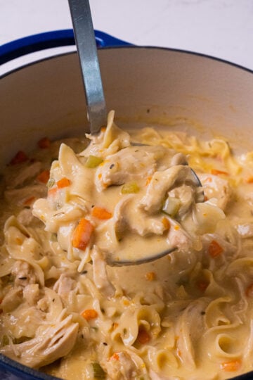 Creamy chicken noodle stew with egg noodles, shredded chicken, carrots, sazon and a rich creamy broth