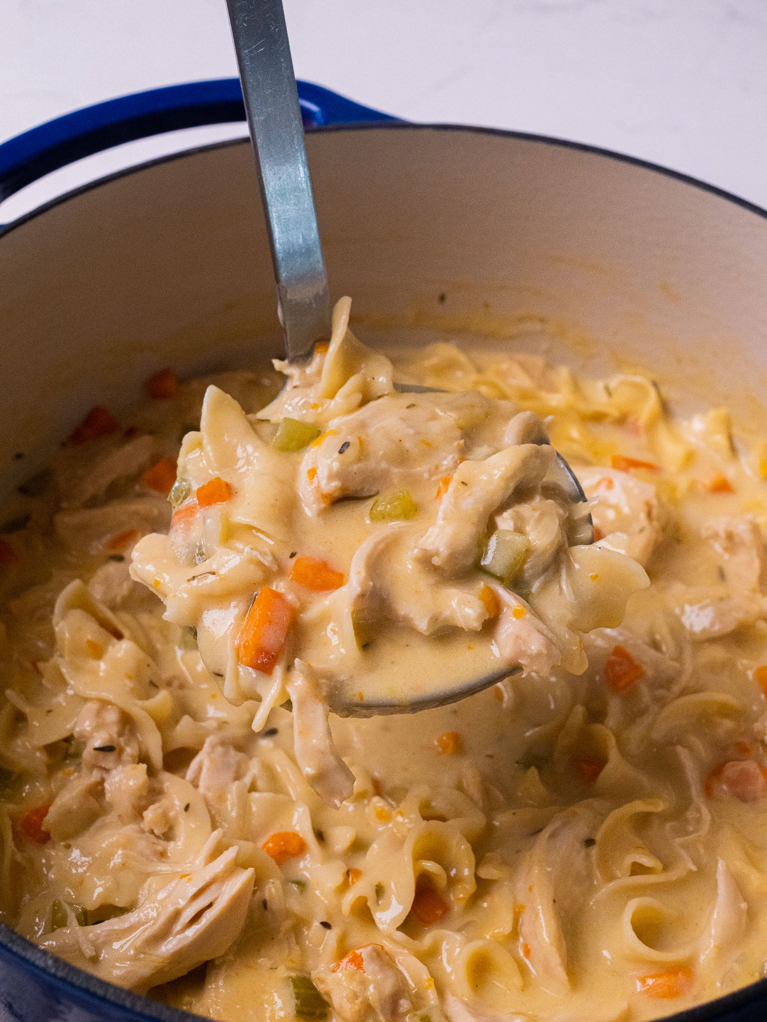 Creamy chicken noodle stew with egg noodles, shredded chicken, carrots, sazon and a rich creamy broth